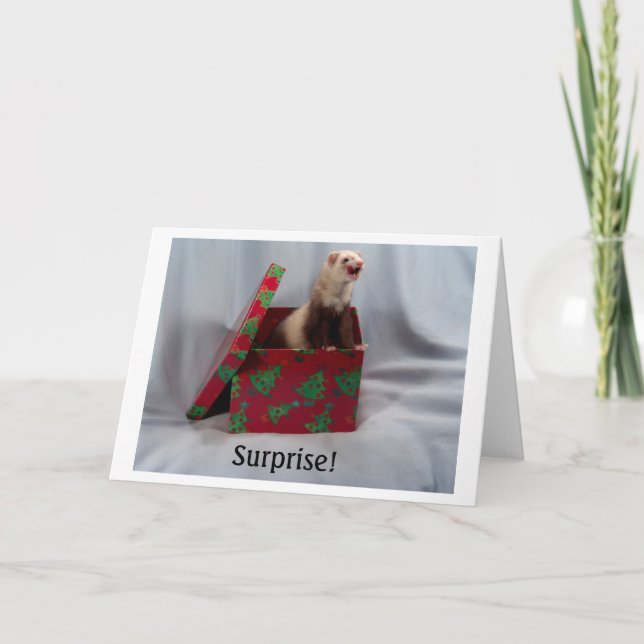 Cartão Ferret in a Box Notecards (Frente)