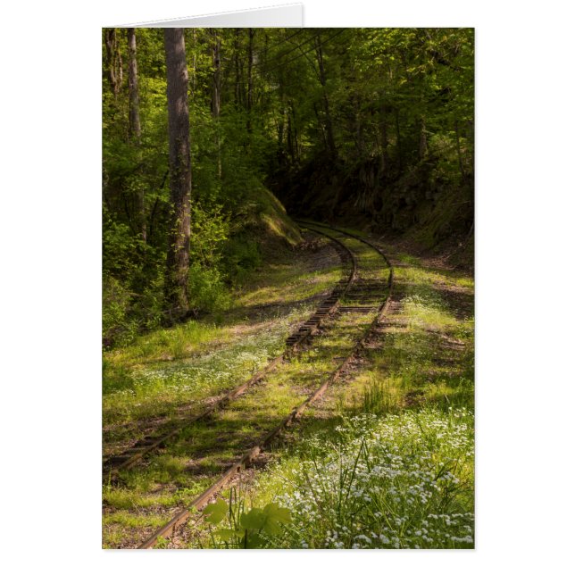 Cartão Ferrovia Abandonada Em Uma Floresta (Frente)