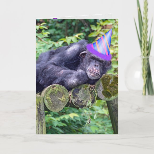 Cartão festa chimpanzé para aniversário humorístico (Frente)