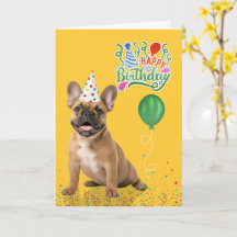 Festa de Aniversário do Bulldog Francês Bege Chapé