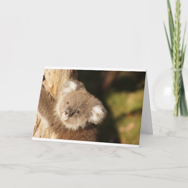 Cartão Festa de Aniversário do Chá de Bebê dos Ursos Coal (Frente)