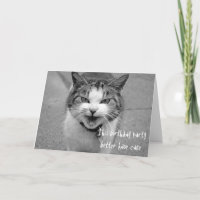 Festa de Aniversário do Gato Bravo É Melhor Ter Bo