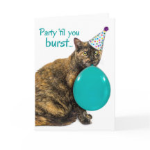 Festa Engraçada Até Você Quebrar aniversário de 21