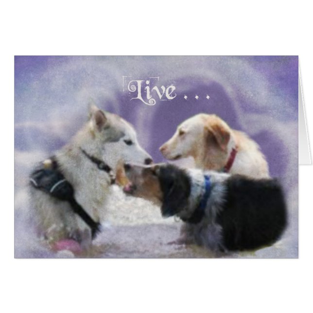 Cartão FestaPool (Frente Horizontal)