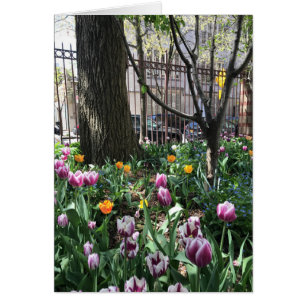 Cartão Festival de Tulipas do Jardim do Oeste NYC