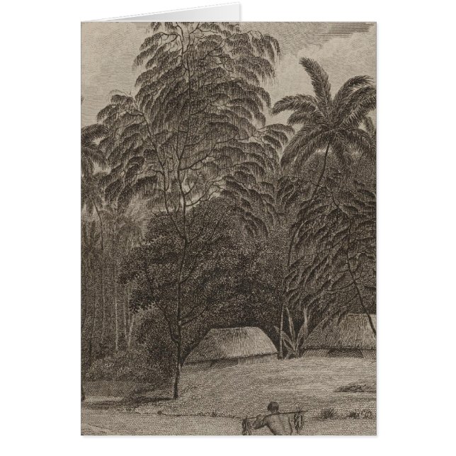 Cartão Fiatooka, Tongataboo, Tonga (Frente)