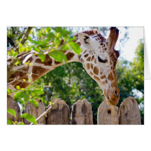 Cartão Fiberlicious