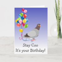 Fica legal É o teu pássaro pombo