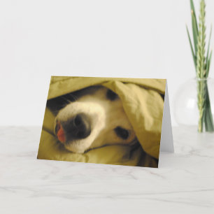 Cartão ficando na cama até terça-feira