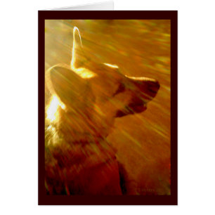 Cartão Ficha Poema De Simpatia De German shepherd Brilhan