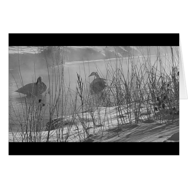 Cartão Fidelidade ~ placa de banho de inverno (Frente horizontal)