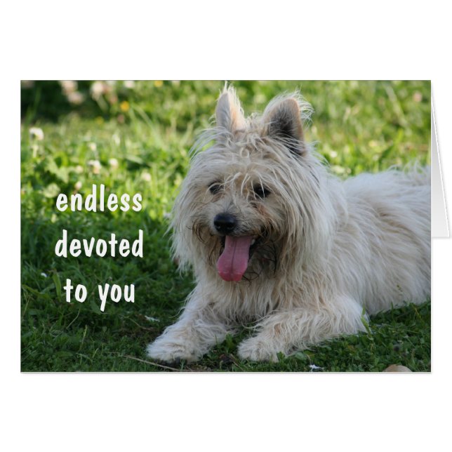 Cartão fiel (Frente Horizontal)