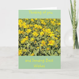 Cartão Field of Daisies Thinking of You