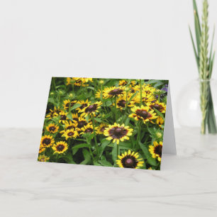 Cartão Field of Flowers General Greeting Card