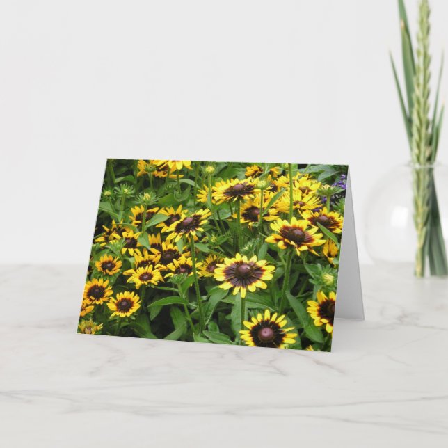 Cartão Field of Flowers General Greeting Card (Frente)