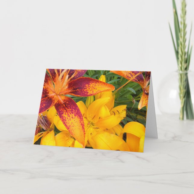 Cartão Fiery Asiatic Lilies Greeting Card (Frente)