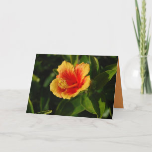 Cartão Fiery Hibiscus Happy Birthday Card