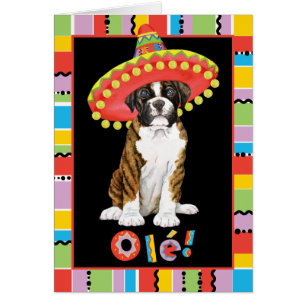 Cartão Fiesta Boxer