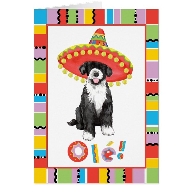 Cartão Fiesta PWD (Frente)