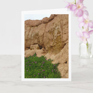 Cartão Fig Hottentot, Ice Plant no Canyon Card