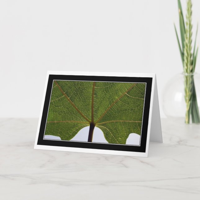 Cartão "Fig Leaf" (Frente)