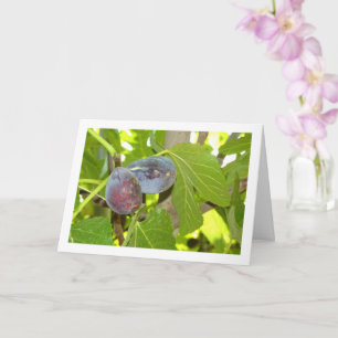 Cartão Figos no Retrato da Árvore