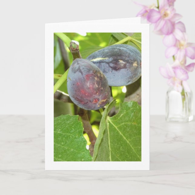 Cartão Figos no Retrato da Árvore (Orquídea)