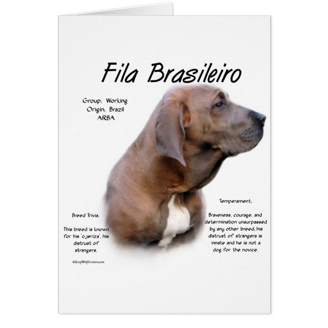 Cartão Fila Brasileiro History Design (Frente)