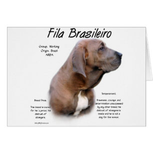 Cartão Fila Brasileiro History Design