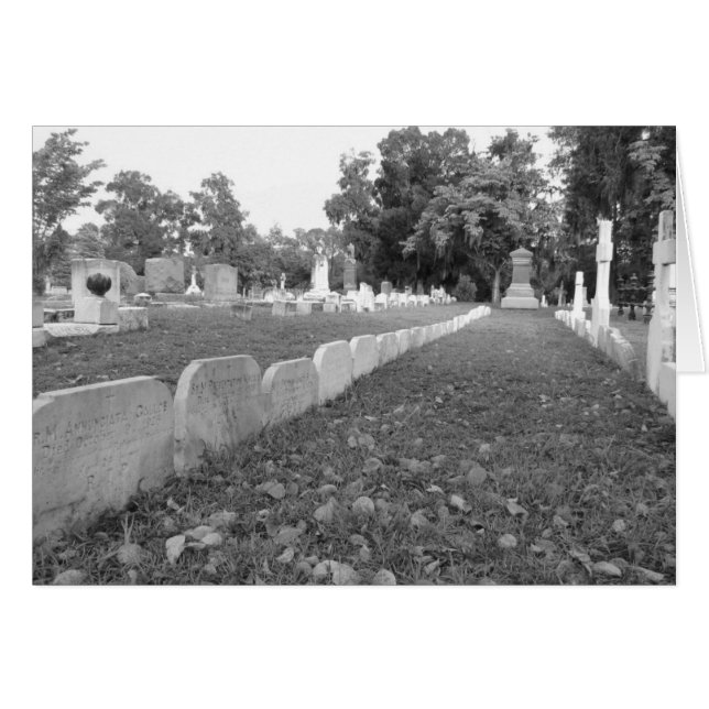 Cartão Fila de freiras (Frente Horizontal)