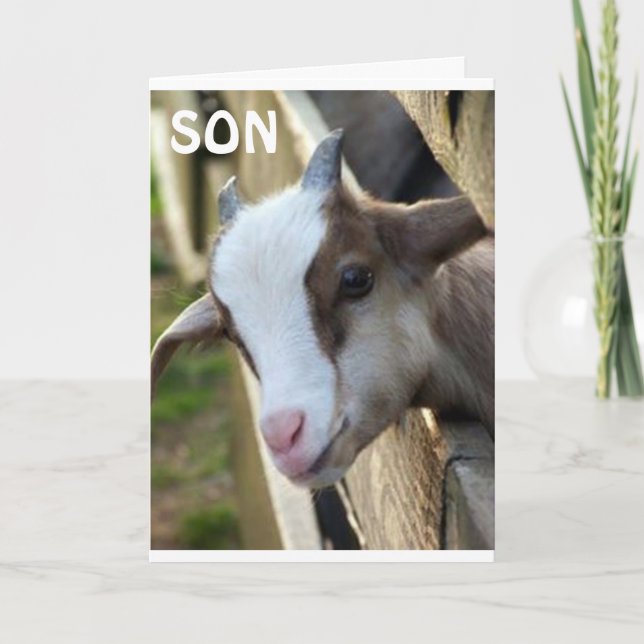 CARTÃO **FILHO DO ANO** E ANIVERSÁRIO FELIZ (Frente)