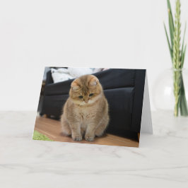 Cartão Filho fofo Hosico