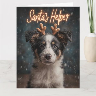 Cartão Filhote Adorável de Border Collie como Assistente