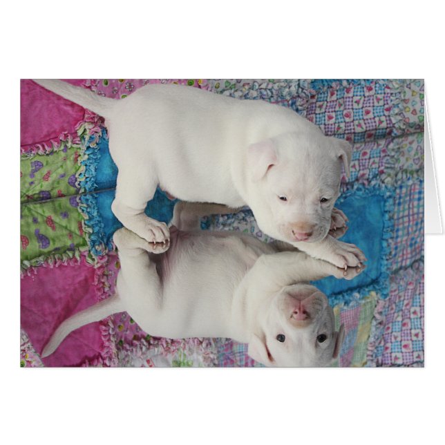 Cartão Filhote de cachorro 4 semanas de idade salvar (Frente Horizontal)