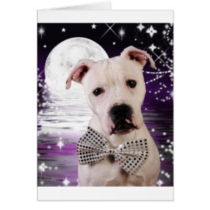 Cartão Filhote de cachorro da lua