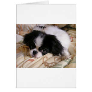 Cartão Filhote de cachorro de Japanese_chin