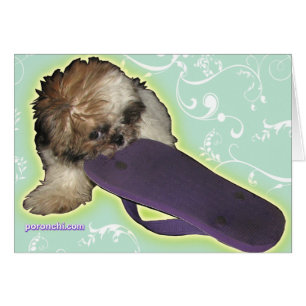 Cartão Filhote de cachorro de Pochi e flip-flops roxos