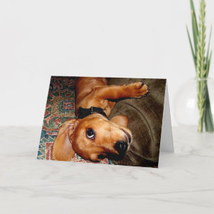 Cartão Filhote de cachorro do animal de estimação do