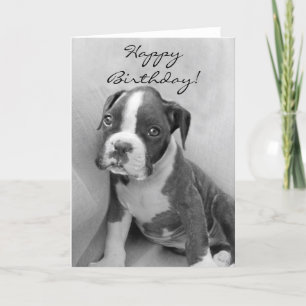 Cartão Filhote de cachorro do pugilista do feliz