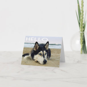 Cartão Filhote de Cachorro Husky Siberiano Olá, Pensando