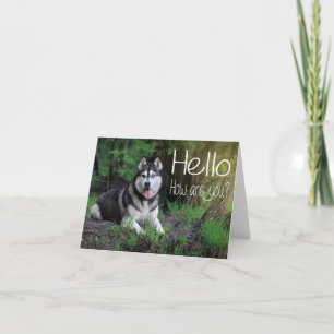 Cartão Filhote de Cachorro Husky Siberiano Olá, Pensando