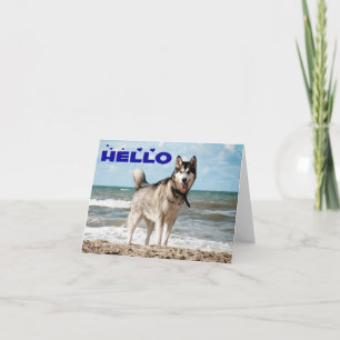 Cartão Filhote de Cachorro Husky Siberiano Olá, Pensando