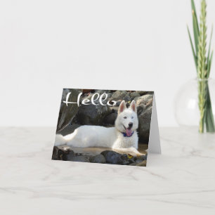 Cartão Filhote de Cachorro Husky Siberiano Olá, Pensando