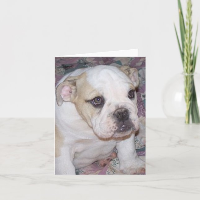 Cartão Filhote de cachorro inglês Notecard do buldogue (Frente)