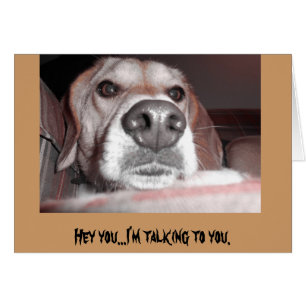 Cartão Filhote de cachorro sério