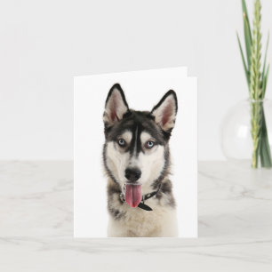 Cartão Filhote de Husky Siberiano Olá, Pensando em Você