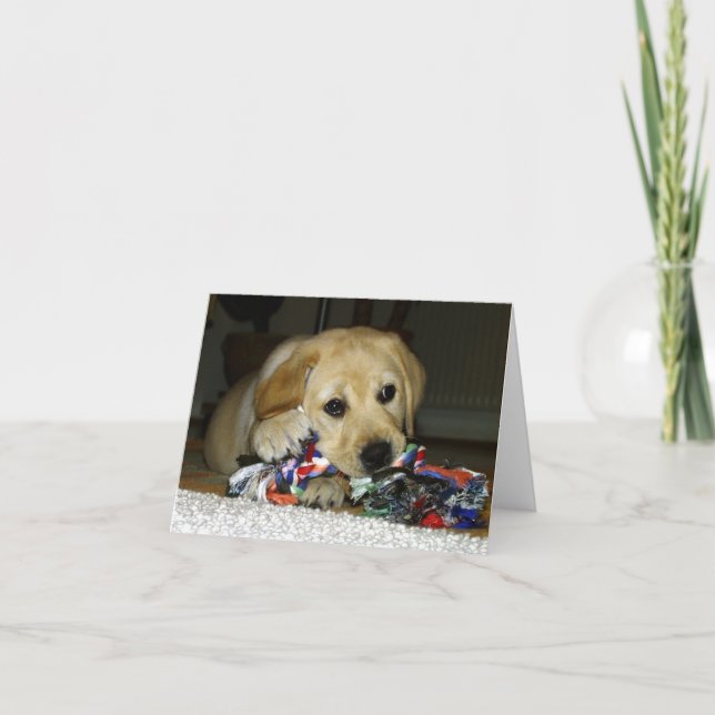 Cartão Filhote de labrador amarelo LR com brinquedo (Frente)