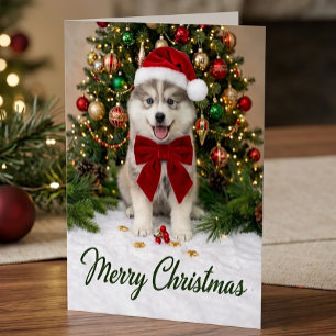 Cartão Filhote de Pomsky Fofo Amante de Cachorro Chapéu d
