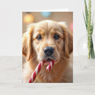 Cartão Filhote de Retriever Dourado de Natal e uma Cana d