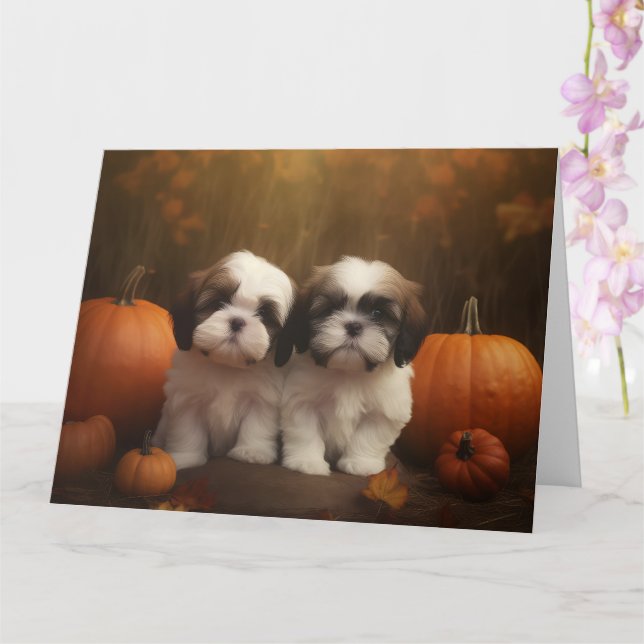 Cartão Filhote de Shih Tzu Delícia de Outono Abóbora  (Orquídea)
